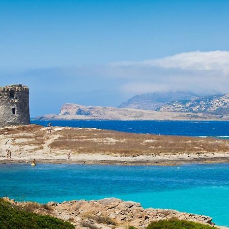 Stintino - Cala Lupo Aparthotel Buitenkant foto